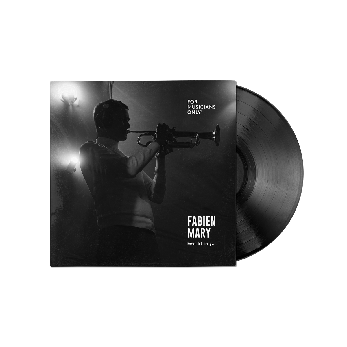 Fabien Mary - Never let me go (Vinyle)